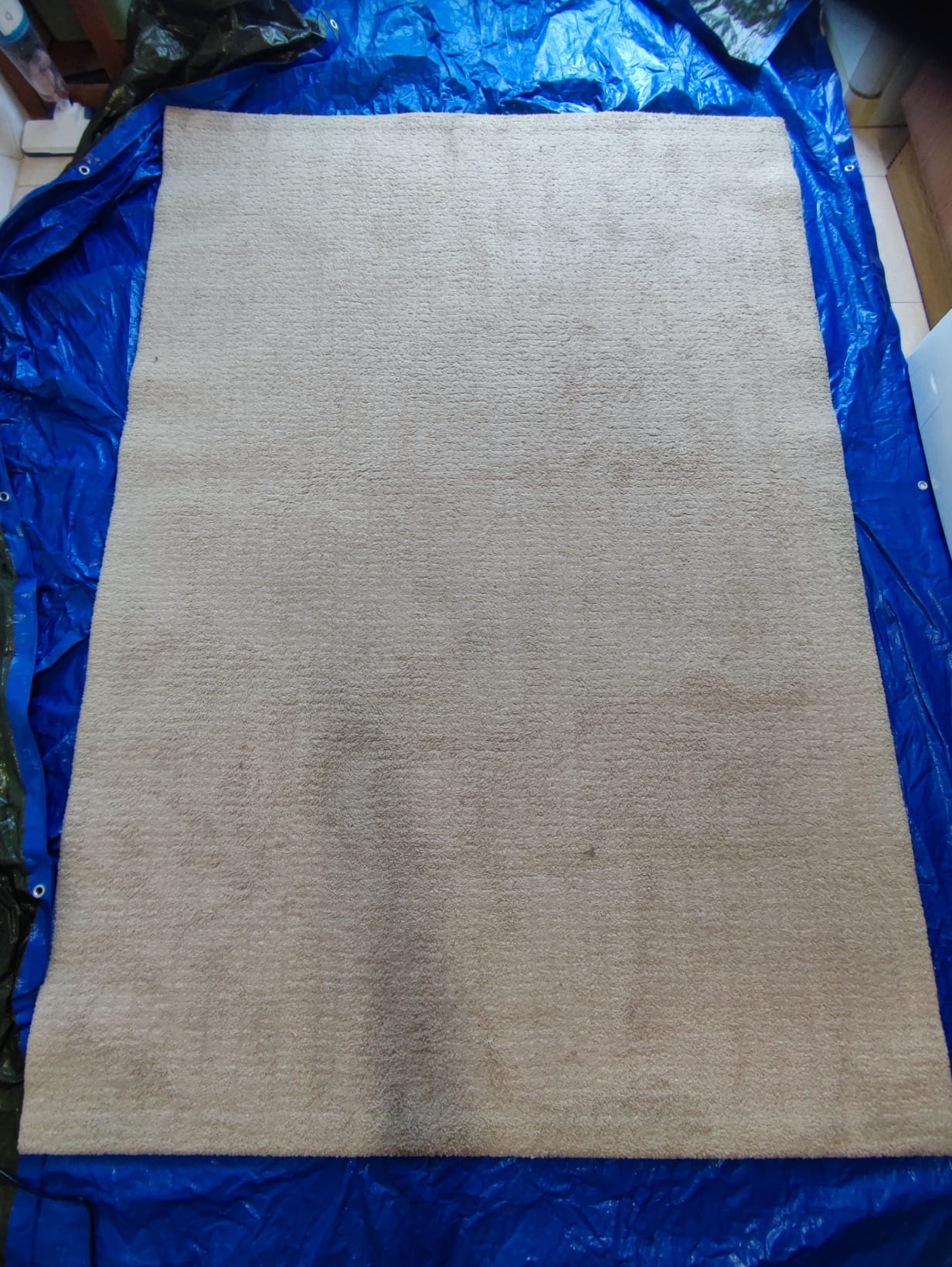 Tapete antes da limpeza profissional da Stellina Clean em Portimão Algarve, com sujidade visível