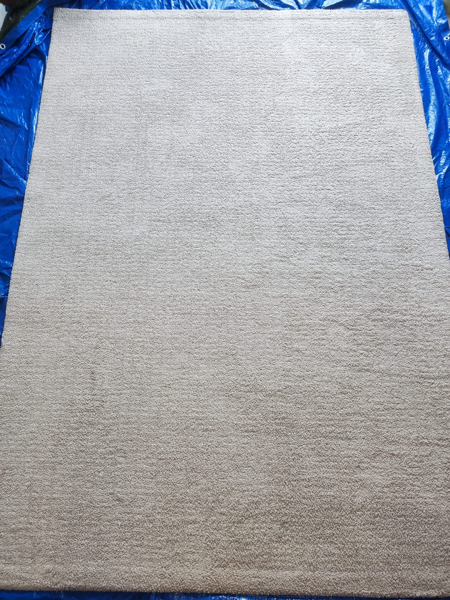 Tapete limpo e higienizado após serviço profissional de limpeza ao domicílio no Algarve